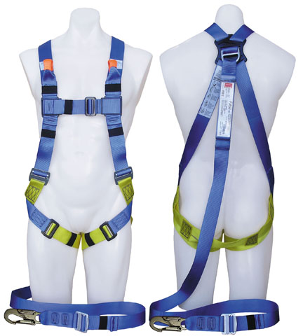 Harness with lanyard